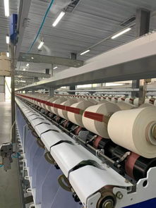 蓬勃发展的芦山纺织产业